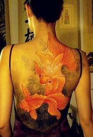 ຮູບແບບ tattoo goldfish ສີໃສ່ສາວກັບຄືນ