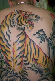 Domineering u tigre di muntagna torna pienu di tatuaggi di spalle