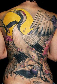 Trendy tingachipeze powerenga zovala za crane tatini yoyera
