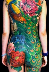 Krásna a krásna krása páv tetovanie vzor Daquan