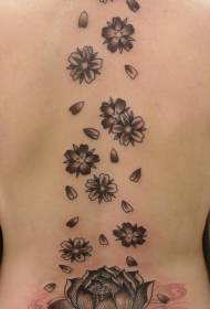 ʻĀpana līpī ʻeleʻele a me nā pua cherry back pattern tattoo