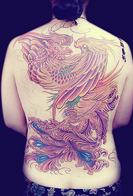 Fotos de tatuagem de fênix de cor cheia nas costas