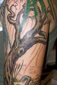 Поўная спіна, поўны колер малюнка татуіроўкі дрэва джунгляў