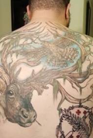 Fullmụaka jupụtara na okike nnụnụ na-ese ihe na eserese tattoo cat cat