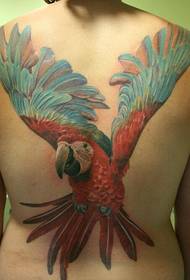 Female full back painted parrot tattoo pattern