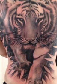 Modello di tatuaggio tigre prepotente