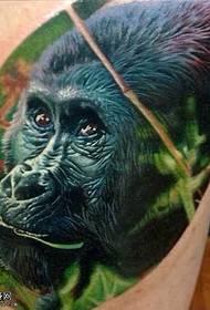 бут горилла тату үлгү 19792- каруу-19793-жарак периште көз тату үлгү каруу боюнча Erlang Кудай Янг тату Үлгү