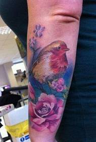 Fermoso e fermoso paxaro de cor no brazo, patrón de flores de urraca