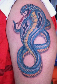 niebieska kobra na ramieniu