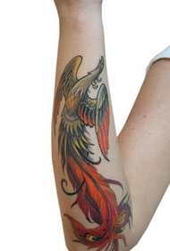 Pola tato phoenix tradisional tren lengan gadis itu klasik