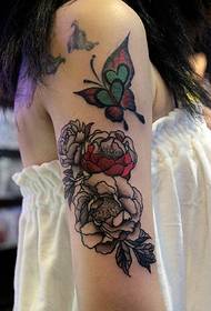 Reticolo del tatuaggio delle ragazze braccio rosa e farfalla