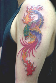 egy jó megjelenésű tűzfenix tetoválás a férfi karján