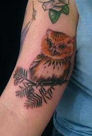 Larawan ng Arm Cute Owl Tattoo