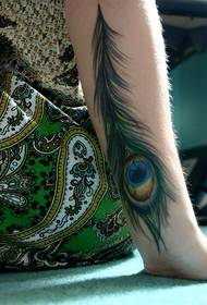 brako koloro peacock plumo tatuaje bildo