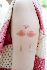 kotiro huringa tattoo swan ataahua