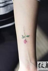 нека вам се допадне мали свјежи узорак тетоваже Дакуан