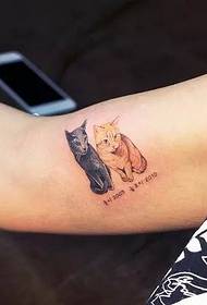 arm Twee oulike katjies op die tatoeëring