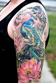 nindot nga peacock tattoo nga gitrabaho sa dako nga bukton