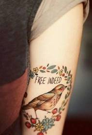 在手臂上分享一套鳥類紋身