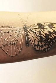 modello del tatuaggio della farfalla romanzo