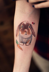 pola tato terwelu cute cute cute cute