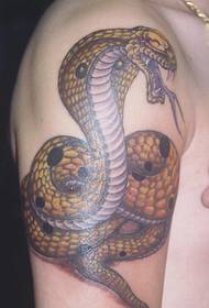 guapo tatuaxe de cobra no brazo grande