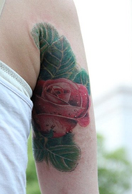 realistis pola tato mawar merah tiga dimensi