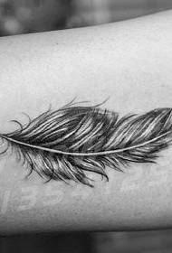 Simple and fresh feather tattoo pattern