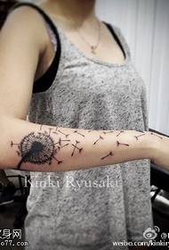 Pola tato dandelion gratis