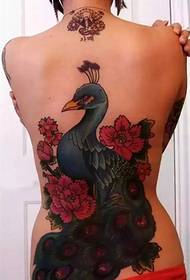 Král ptáků - Páv tetování
