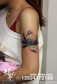Naoružani uzorak crvene lotosove tetovaže