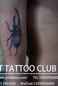 Personalisierte Käfer Arm Tattoo