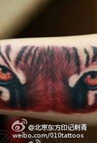 Нарисованный реалистичный 3d узор татуировки тигра