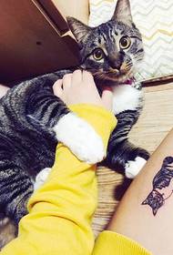 Tatuagem de gato fresco pequeno bonito