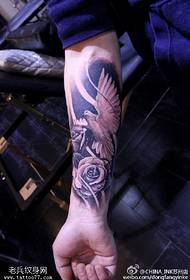 Arm realistic peace fight pigeon tattoo pattern