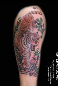 Arm Tattoo, Taille und Bauch Tattoo, Schulter und Rücken Tattoo, Peking Tattoo, Fengtai Tattoo, Fengtai Tattoo, Fengtai beste Tattoo-Shop