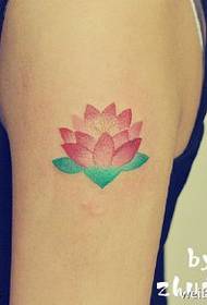 Classique peint beau motif de tatouage de lotus