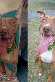 Tatuazh realist realist i qenit në krah