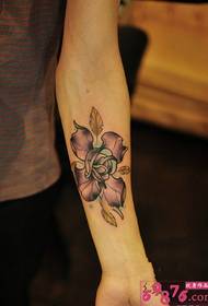 Frisk tatoveringsbilde med rose arm