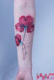 Imágenes delicadas del tatuaje del brazo de amapolas