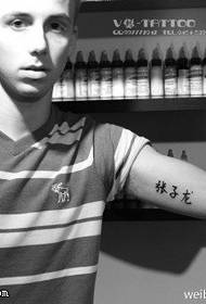 Padrão de tatuagem de caracteres chineses suave e dominador