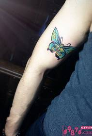 色の蝶のarmの腕のタトゥー画像