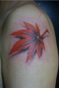 Stylish ingalo enhle ebukeka emibalabala ye-maple leaf tattoo iphethini