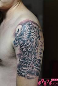 Kugadzirisa pasi pegomo tiger ruoko tattoo mifananidzo