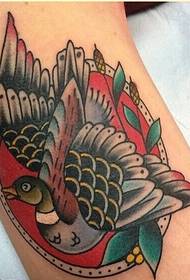 Fashion arm beautiful color swallow tattoo pattern picture