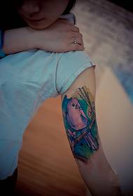 Lična slika akvarel ptica ruku tetovaža