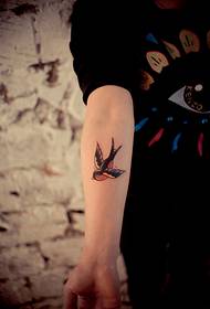 顏色小燕子手臂紋身圖片