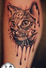 Hoto tattoo cat