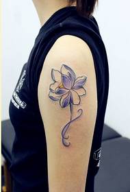 个性女性手臂好看的莲花纹身图案图片