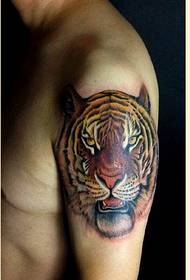 Fashion male arm personality tiger head tattoo pattern picture